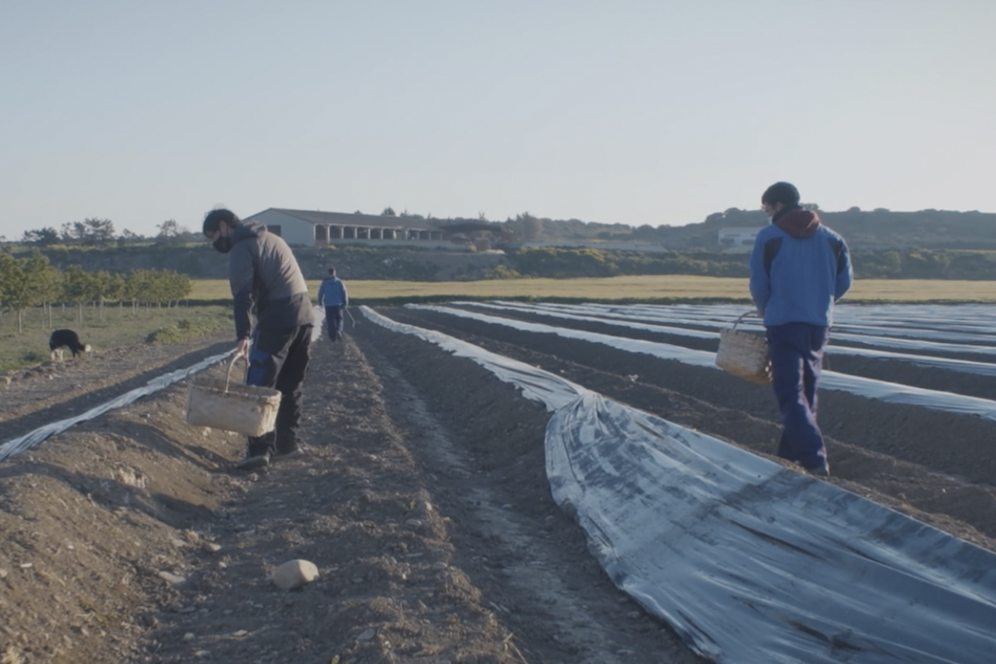 Últimos días para presentar proyectos en el programa de colaboración Fagor Herrigintza