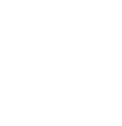 SDG-orange